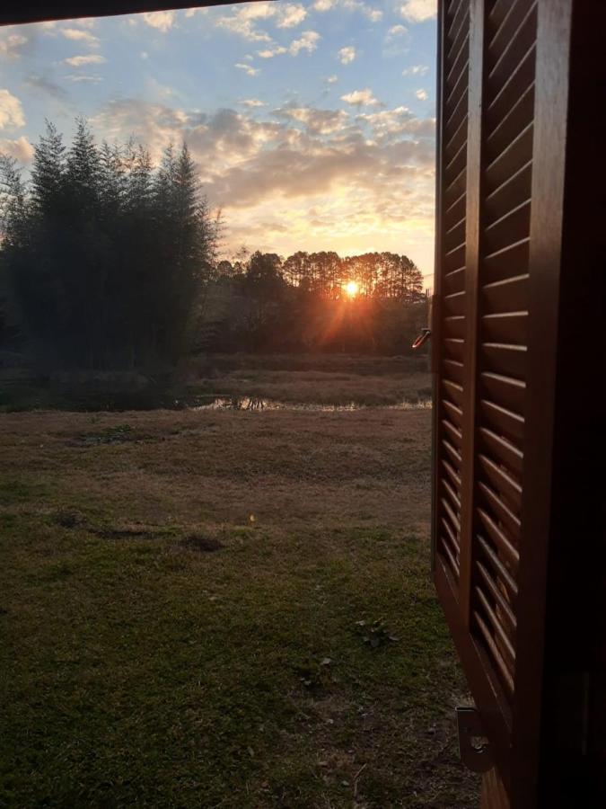 Rio Rufino Fazenda Tamandua Casa De Campo - Cabana Coragemヴィラ エクステリア 写真