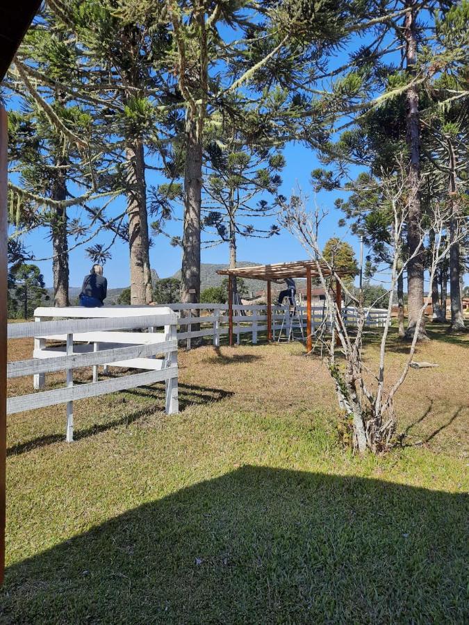 Rio Rufino Fazenda Tamandua Casa De Campo - Cabana Coragemヴィラ エクステリア 写真