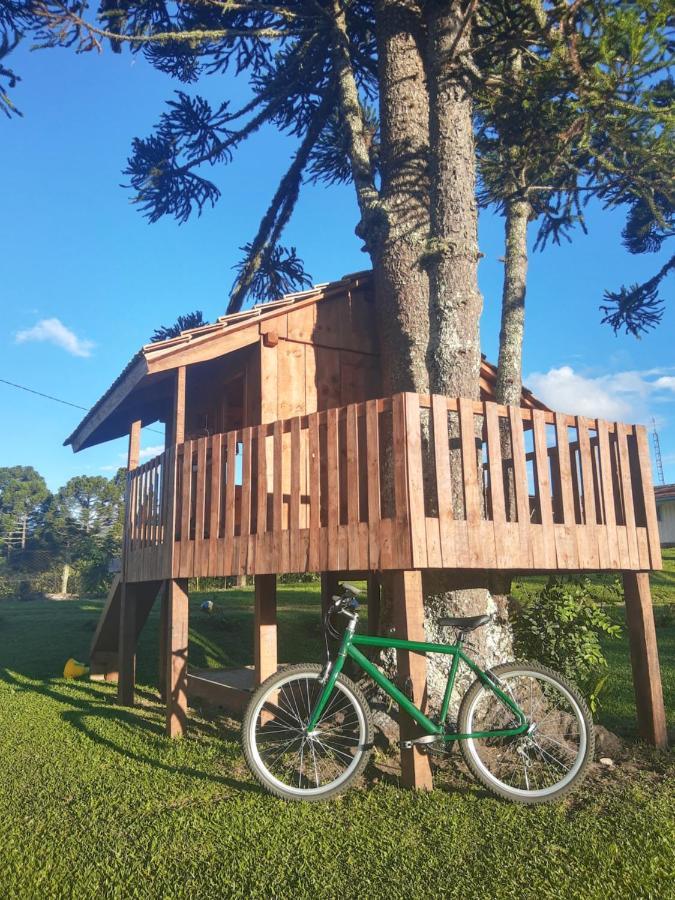 Rio Rufino Fazenda Tamandua Casa De Campo - Cabana Coragemヴィラ エクステリア 写真