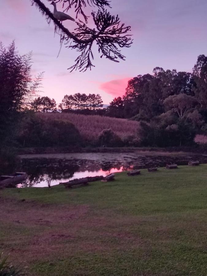 Rio Rufino Fazenda Tamandua Casa De Campo - Cabana Coragemヴィラ エクステリア 写真