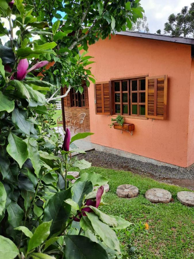 Rio Rufino Fazenda Tamandua Casa De Campo - Cabana Coragemヴィラ エクステリア 写真