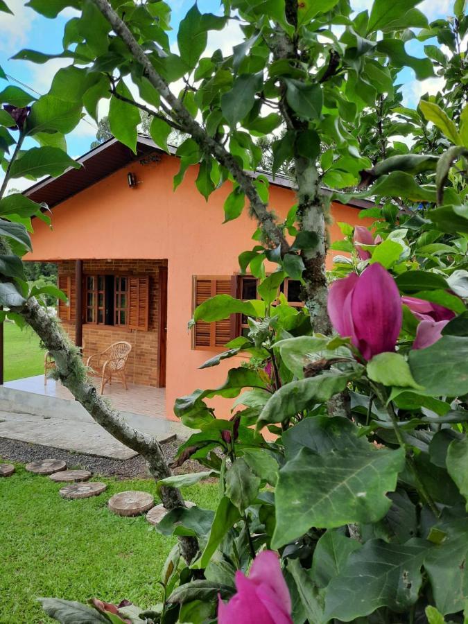 Rio Rufino Fazenda Tamandua Casa De Campo - Cabana Coragemヴィラ エクステリア 写真