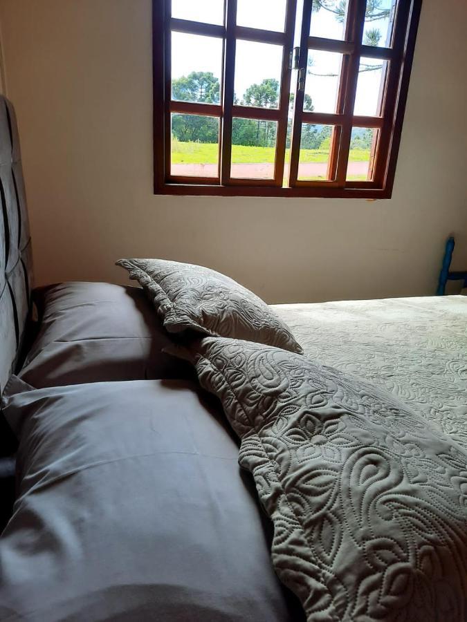 Rio Rufino Fazenda Tamandua Casa De Campo - Cabana Coragemヴィラ エクステリア 写真
